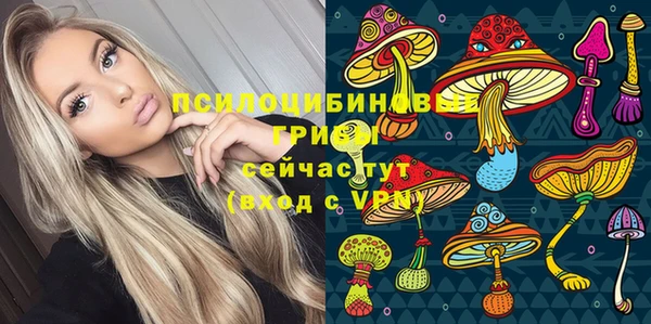 соль ск Волосово