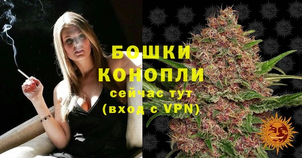 гидропоника Володарск
